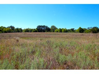 Property photo 29 - SIGNIFICANT LAND & PRODUCING MINERALS SEALED BID AUCTION - 233+/- ACRE FARM IN 1 TRACT - 6 MINERAL TRACTS IN GARVIN, MCCLAIN, GRADY & ROGER MILLS COUNTIES, OKLAHOMA